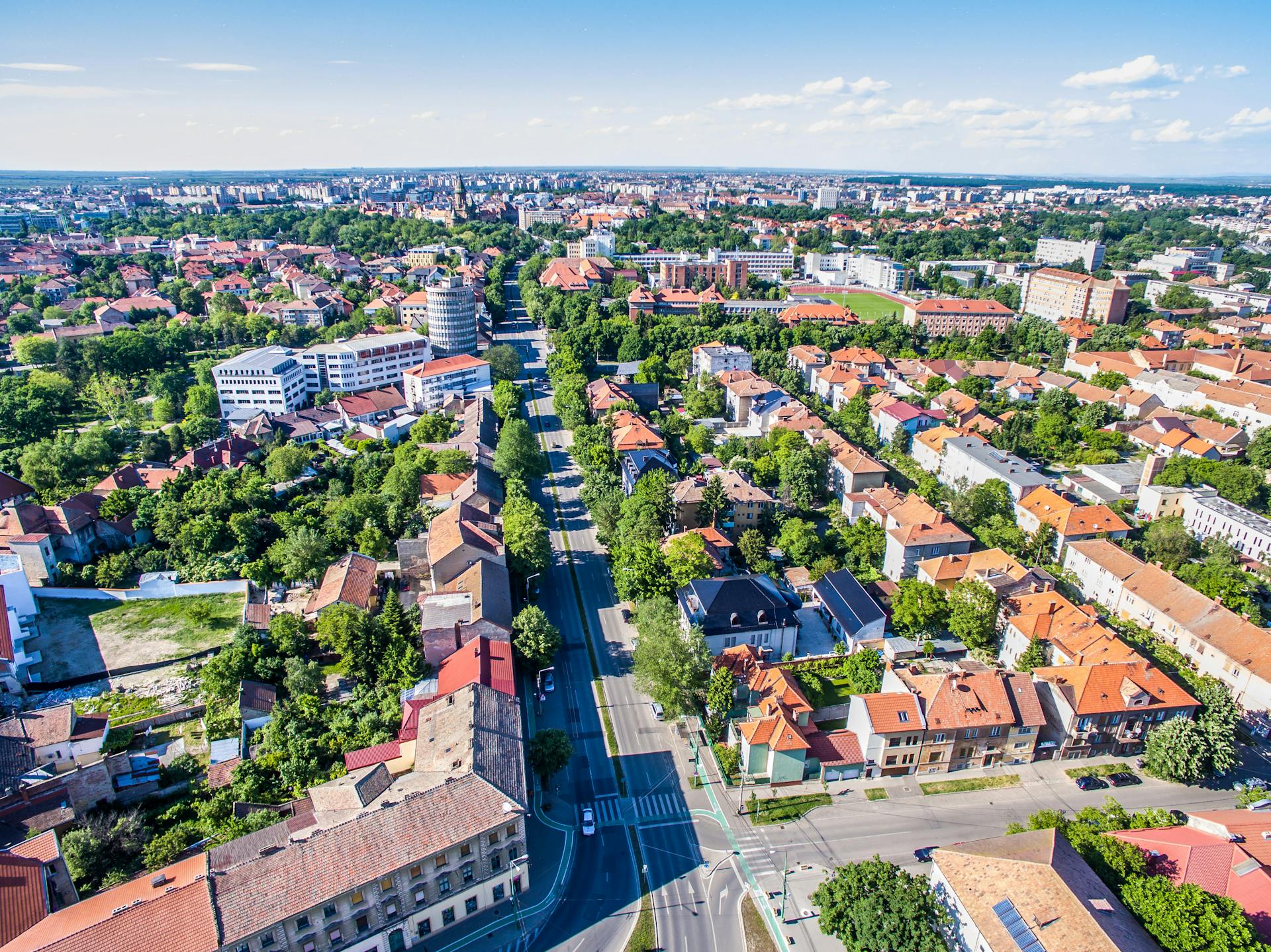 Urban Forest Management Aerial View
